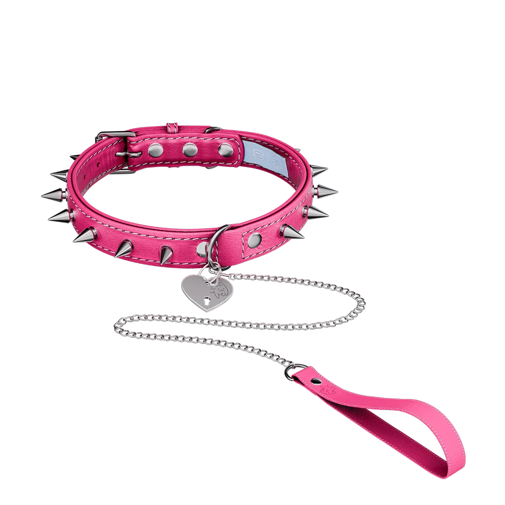 Vei: Snax Spiked Dog Collar + Leash - View 1